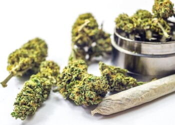 Cannabis in Recht und Gesundheit