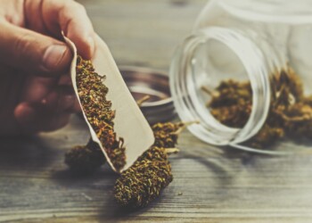 Marihuana in Minden sichergestellt