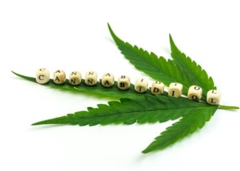 Was ist Cannabidiol?