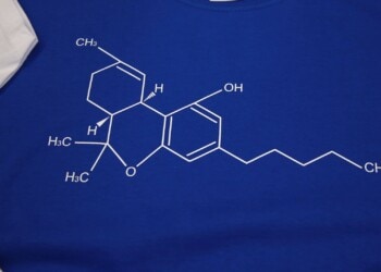 Bioplastik aus Cannabis