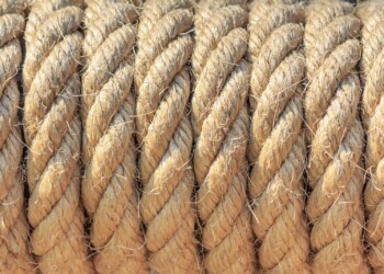 Cannabis für nachhaltige Rohstoffwirtschaft