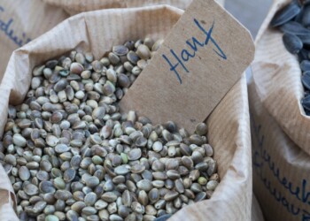 Die Hanfindustrie wächst