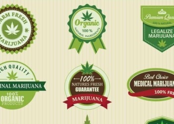 Global Marijuana March 2015 in Plauen