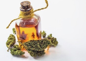 Hanföl – eine leckere Alternative