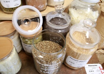 Wo soll ich Hanfsamen bestellen?