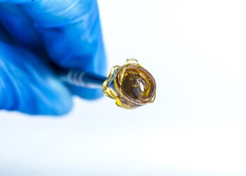 Cannabisextrakte – Butane-Honey-Oil und Waterhash
