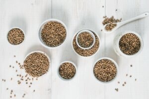 Cânhamo como Ração Animal: Nutrição de Alta Qualidade para Gado, Suínos e Aves