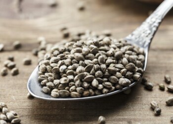 Hanfsamen-als-Lebensmittel