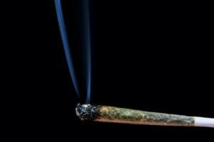 Quanti morti per cannabis ci sono nel mondo?