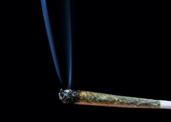 Wie-viele-Cannabis-Tote-gibt-es-auf-der-Welt