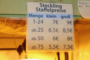 Marijuana: Dove acquistare talee di cannabis?