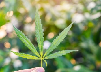 Was-ist-Drogenmündigkeit