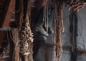 Alles-über-Hanf-1-–-Geschichtliches