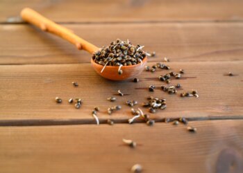 Alles-über-Hanf-11-–-Lebensmittelbranche