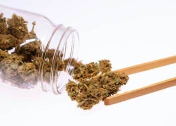 Alles-über-Hanf-13-–-Chemische-Industrie-1