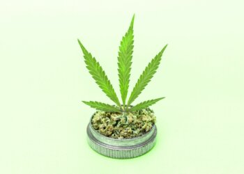 Alles-über-Hanf-20-Wirkstoffe-und-Wirkung