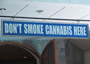 Alles-über-Hanf-3-Hanfverbote