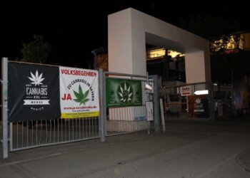 Die-Cannabis-XXL-2015