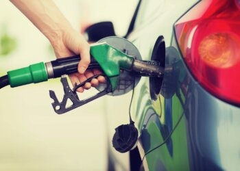 Kraftstoffe-aus-Hanf