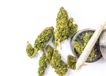 Was-kann-man-von-Hanf-rauchen