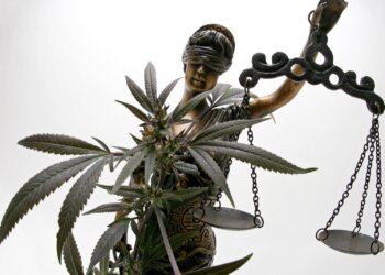 1-Jahr-und-5-Monate-zur-Bewährung