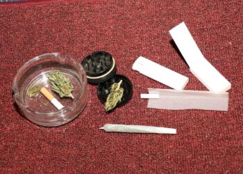 Religionsausübung-der-First-Chirch-of-Cannabis