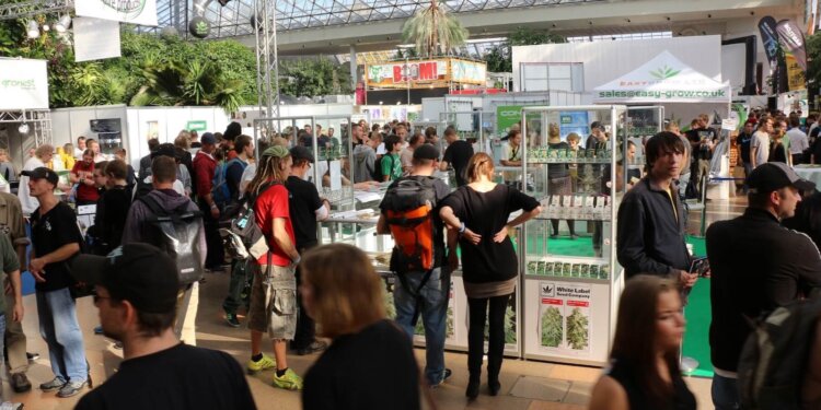 Wird-die-Canna-Berlin-sich-mit-der-Cultiva-messen