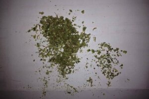 Maconha de farmácia com minissementes