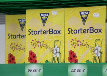 Welcher-Hanfdünger-ist-gut-für-den-Marihuanaanbau