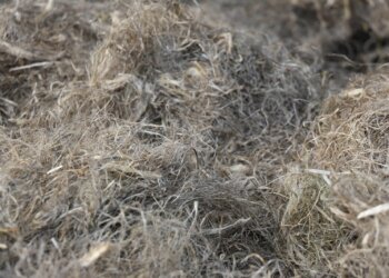 Warum-dichtet-Hanf-Wasserrohre-ab