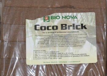 Anbau-auf-Cocos-zum-aufquellen-1