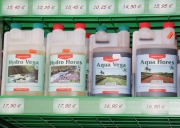 Hanf-düngen-mit-dem-richtigen-Dünger1