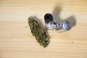 Ordinare marijuana online - arriva davvero?