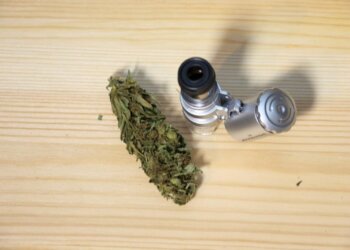 Marihuana-online-bestellen-und-erst-prüfen-dann-rauchen