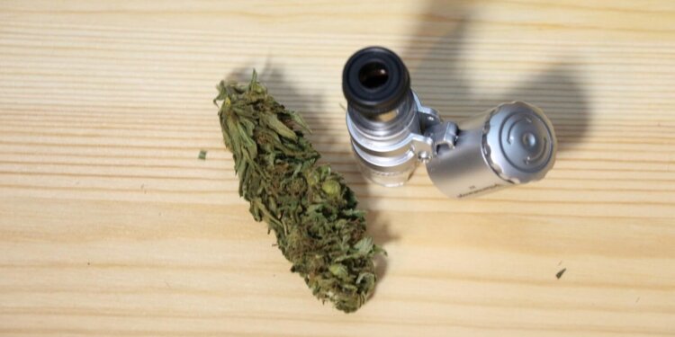 Marihuana-online-bestellen-und-erst-prüfen-dann-rauchen