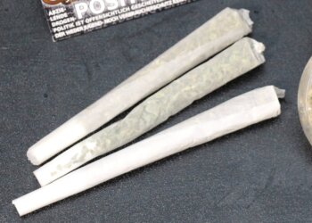 Der-kleine-Kiffer-lesen-und-entspannen