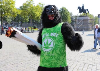 Wie-wirkt-Hanf-Ihn-macht-es-zum-Affen