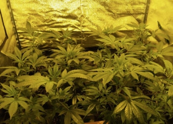 Passt-in-jede-Besenkammer-1