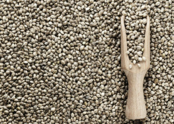 Hanf-für-den-Energiekick