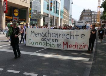 Kiffer-fahren-nuechtern-gut-genug-und-haben-Menschenrechte