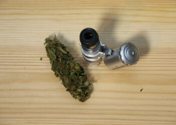 Macht-hoechstens-passiv-militant-aber-nicht-zum-IS-Jihadisten