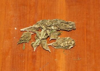 Die-richtige-Marihuanaeinlagerung