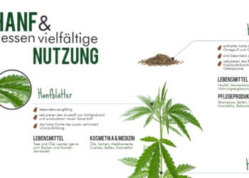 Hanf-dessen-vielfältige-Nutzung-1