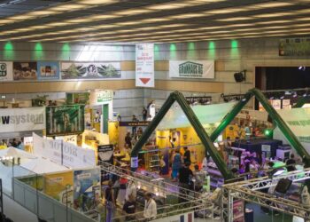 Die-Cannatrade-aus-Vorjahren-klein