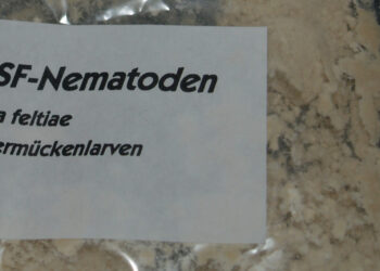 Nematoden-gegen-Trauermuecken