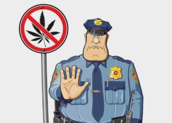 hanf_kontrolle_erfahrungsbericht-1