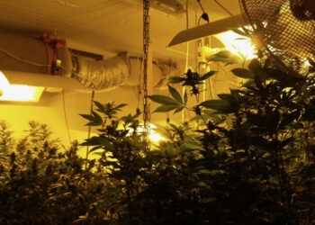 015-Jeder-hat-eine-andere-Vorstellung-vom-Blüteraum-c