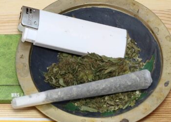 Keine-Cannabislegalisierung-mit-der-UNGASS-2016-1-1