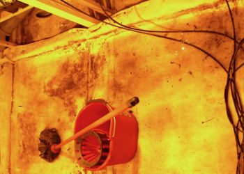 021-Das-Wasser-läuft-in-die-Ecke-und-kann-dort-leicht-entnommen-werden-c-1