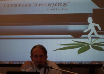 Fachmediziner-bezeichnet-Cannabis-als-Ausstiegsdroge-b